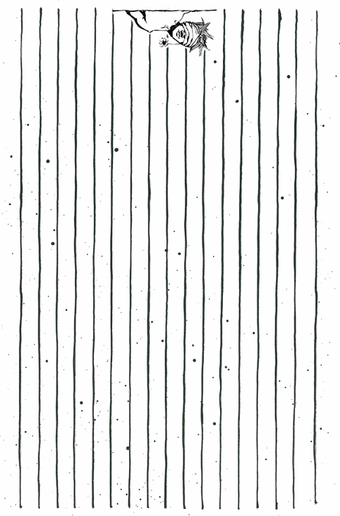 image (6)